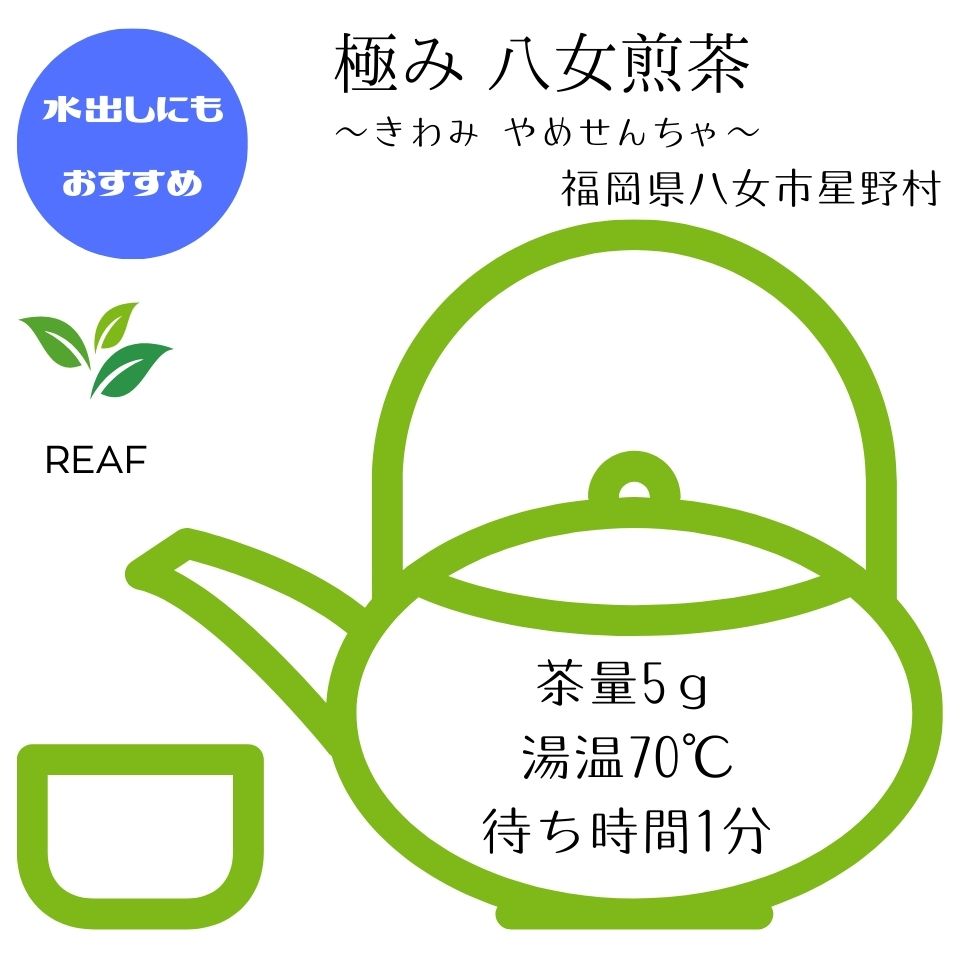 極み 八女煎茶~きわみやめせんちゃ~【リーフ50g】