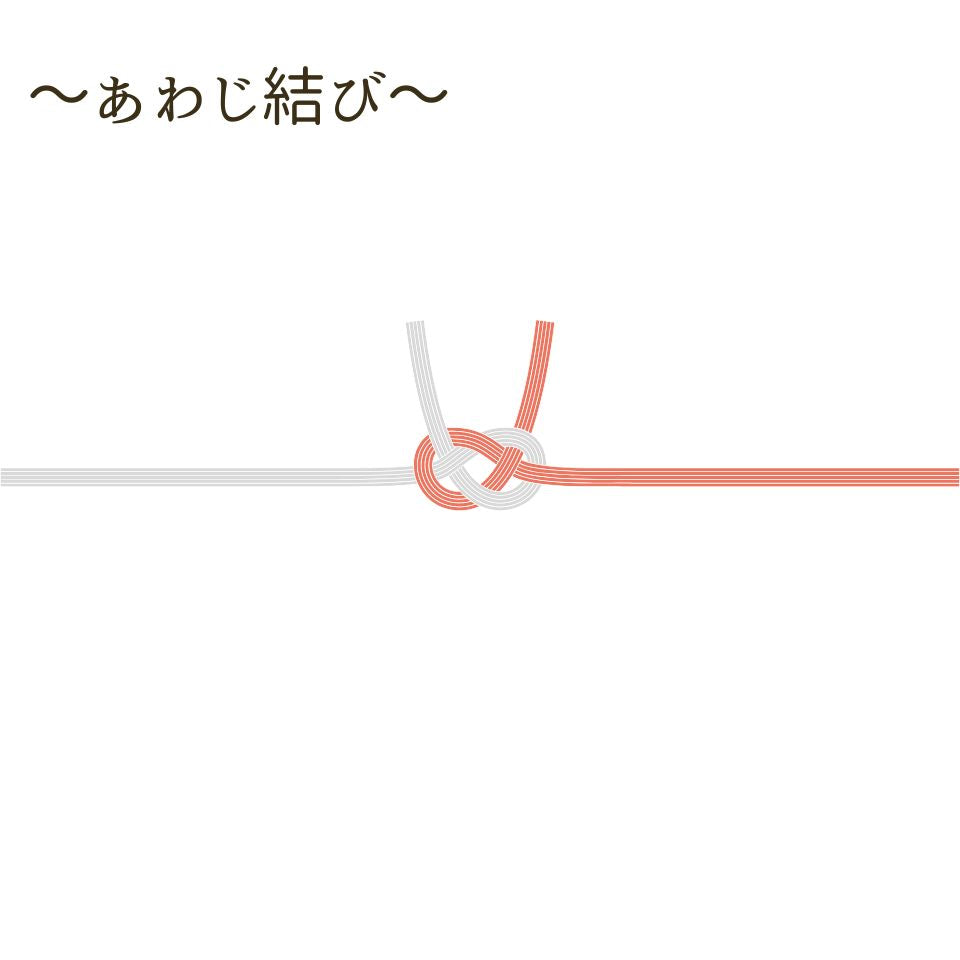 のし紙:水引【あわじ結び】
