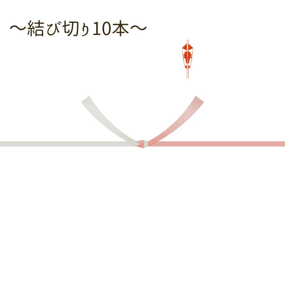 のし紙:水引【結び切り10本】