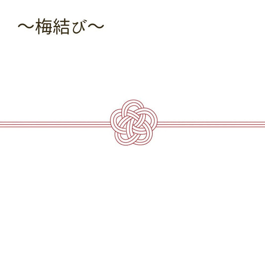 のし紙:水引【梅結び】