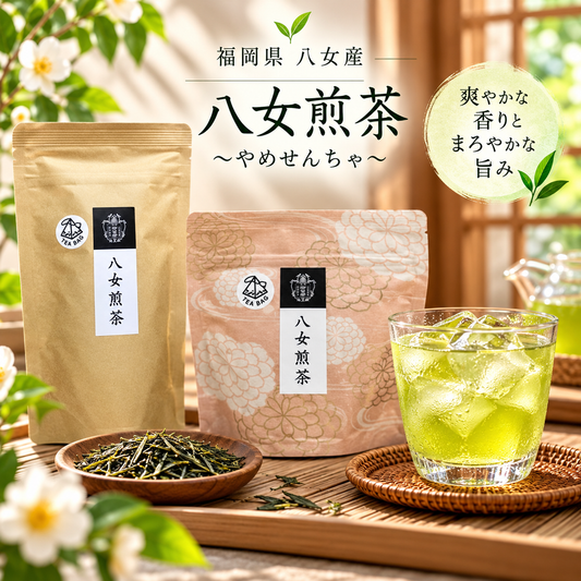 八女煎茶【TEA BAGタイプ】