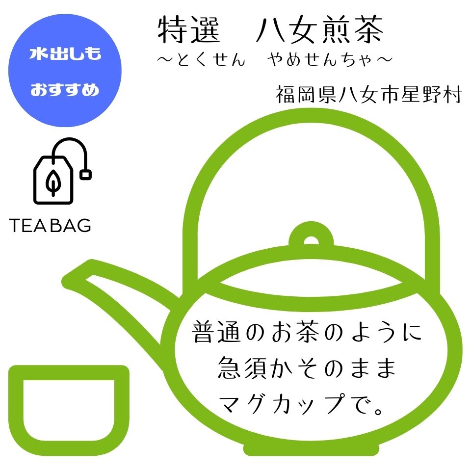 特選 八女煎茶【TEA BAGタイプ】